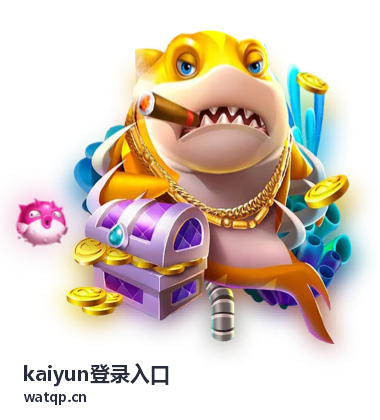kaiyun登录入口接入后常见异常与处理方式示意